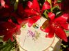 IMG_20170716_145149.thumb.jpg.11d3083016f9d39e948c2b3bf73c8903.jpg