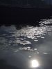 IMG_20170722_181829.thumb.jpg.14294f675122f71e8be8c8967808a386.jpg