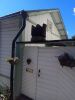 IMG_20170723_112623.thumb.jpg.3bf9fa519dad24aac631b179641436f7.jpg