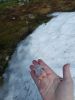 IMG_20170726_155701.thumb.jpg.d2d62ab0a3dd2175543966b42fa85538.jpg