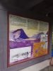IMG_20170726_194539.thumb.jpg.88b1e5c56245450e2077c4f614f8b692.jpg