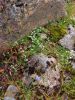 IMG_20170728_201944.thumb.jpg.7375f04268354efbaa8d5f72a6252812.jpg