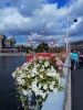 IMG_20170801_135041.thumb.jpg.90494a0cd00f4714bbb89a4af145e65b.jpg