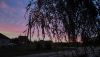 IMG_20170807_205652.thumb.jpg.e732db93bf8b4115b370785b91d76f4d.jpg