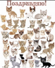 IMG_20170808_134858.thumb.png.78d864b46829bcc981d1b7429d8f5144.png