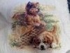 IMG_20170830_220125.thumb.jpg.3d19e6b1098ec182e649a2a4d6f3f554.jpg?1504114074891