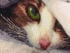 IMG_5526.thumb.JPG.df33fa22222045367f67ea581ce413ac.JPG