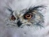 IMG_6624.thumb.JPG.2bf5fd3b04f8a04384df6ca7bac4b4fb.JPG?1501965381133