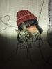 IMG_6786.thumb.JPG.6ce4d58a94a139734b8b00a712132bef.JPG
