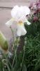 P_20170507_120645.thumb.jpg.37f49c5cf36922f0a8bebc4c42466efd.jpg