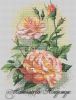 VKnDDWEqKSc.thumb.jpg.3df1adf5d7d41f50bce0843f8df80fe2.jpg