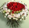 image-156.thumb.JPG.d9253a4bd35c8812dae7c8b746f00ff6.JPG