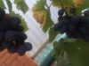 image.thumb.jpeg.053eec8691c38f2f15e68ab960a4ee07.jpeg