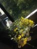 image.thumb.jpeg.baacbd2d6f0bb82bd91aa3d7ff405bb3.jpeg