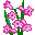 smiles-cvety-568.gif.e4766e93a8368d3f453143c4918f8e63.gif