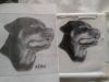 1.thumb.jpg.b1e8f398e7cba08e08a3d140419fd9b2.jpg