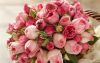 1792215.thumb.jpg.89e6c7fded644059f0a3a9fa436cb8d7.jpg
