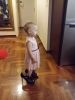 20170708_202854.thumb.jpg.de94056fa523736329b86a8374edb1b3.jpg