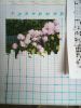 20170727_155411.thumb.jpg.27ae7ae8a5a12e8f7768269f44d6c513.jpg