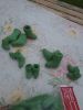 20170729_144600.thumb.jpg.52023077c6a1ba3ce827cd9d794c3985.jpg