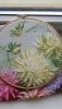 20170907_090332.thumb.jpg.54584fb695bec412febb171fafda82e8.jpg?1504764780828