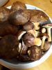 20170908_203138.thumb.jpg.952d9ce615610be444bf59d34856c1c9.jpg