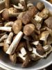 20170908_204657.thumb.jpg.c092989d3fe539bf6197fac8a144f82f.jpg