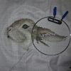 20170911_185652.thumb.jpg.d693e8d560c1d9ee3e873ca1d8410a8e.jpg