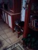 20170915_020956.jpg