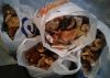 20170915_191155-1.thumb.jpg.546ecbfce8194f9bbd0234f1f1c07942.jpg