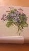 20170917_185449.thumb.jpg.932c067873a91a2b40c329d1fd89fc37.jpg?1505664199526