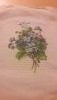 20170917_185536.thumb.jpg.b301e3d81dd3152e12995e2947ac6e3c.jpg?1505664205683