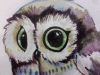 20170921_204635.thumb.jpg.533a4b85eee8af79a0aad2e08f96c53e.jpg