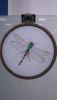 20170922_134717.thumb.jpg.edda953af4167fda2c84177d02ec2262.jpg