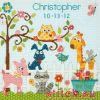 Dimensions 73733, Happi Backyard Birth Record