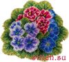 30194.thumb.jpg.bdffe4f23bb35b61d459151afdbf36f7.jpg