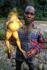 52.thumb.jpg.90dc4ef1f79a25804741ea25a8630465.jpg