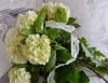 59adb29ae90c6_eskvimeghv2014_028a.thumb.jpg.79260f8c3ab955fab217243ffb796f01.jpg