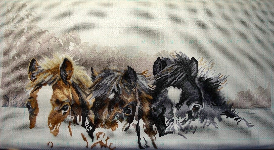 59aefa21b90c0_5.JPG.6f6d876c5d0bf33e7bc9