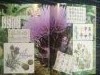 59bbbbc5f0feb_IMG_42721.thumb.JPG.5b5a865a42e8c3db07dea6ccb4c34db3.JPG?1505475557419