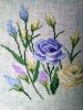 6.thumb.jpg.aee9d9b81739ad768b59dfa855e99dfe.jpg