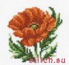 6844.thumb.jpg.e67d0d79827d6aaf36a050e5499dd15b.jpg
