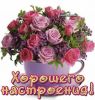 86f3416764267ba5000acb55cc32ee95.thumb.jpg.20c7993ee516554cdae3db95e3a85fa8.jpg