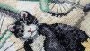 9.thumb.JPG.360501c7329a0f0064a96b864b15d44d.JPG