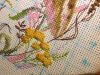 9.thumb.JPG.ec5684e548a335ddae0adbe06f9b2ce6.JPG