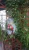 DSC00342.thumb.JPG.56f7c621173a8d0d19981abaddb5b06a.JPG