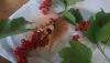 DSC00378.thumb.JPG.626c0c0602ff9391b3fe46579aad4b0c.JPG