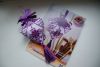 DSC03711.thumb.JPG.1d11b025c1d0e9bfd611223bcd3a9574.JPG