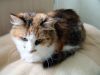 DSC04099_.thumb.jpg.ce4360dccf846b50e8d1349e6ea0bd30.jpg