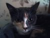 DSC04102_.thumb.jpg.44d2b9c9f5f5bdf80ea0bd2da4506b23.jpg